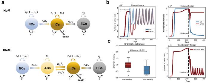 Illustration of IHoM and IHeM Models and Treatment Responses