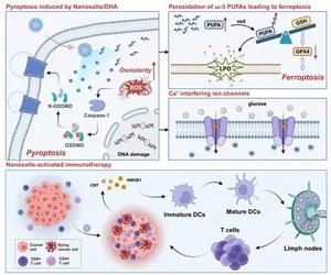 Biodegradable cesium nanosalts activate anti-tumor immunity via inducing pyroptosis and intervening in metabolism