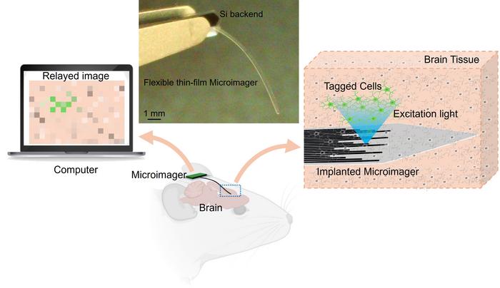Microimaging setup