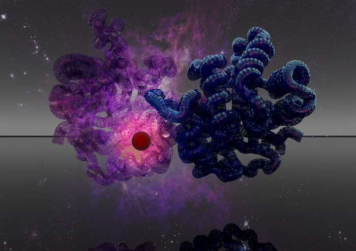 Two proteoforms