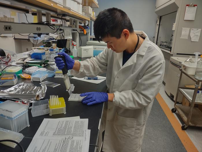 Student Intern in Lab