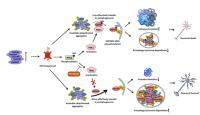 TDP-43-Mediated Neurodegeneration