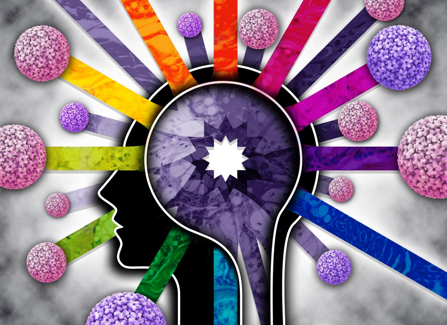 TCGA Head and Neck Cancer