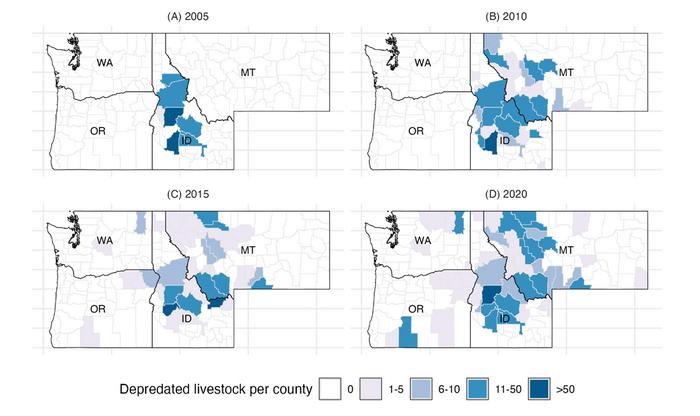 Maps of livestock loss by county in Northern Rocky states, 2005 - 2020