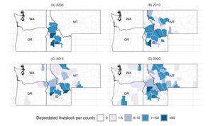Maps of livestock loss by county in Northern Rocky states, 2005 - 2020