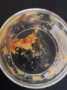 Is this what 2,500-year-old honey looks like?