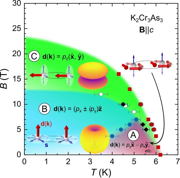 Magnetic-Field-Tunable Superconducting Phases in K₂Cr₃As₃