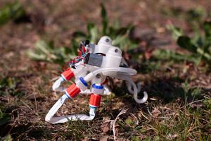 The robot hops in the wild