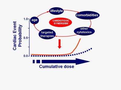 Anti-cancer Drugs