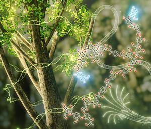 Introduction of Novel Luminophore Structures into Lignin via Genetic Engineering
