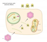 Hepatitis C Treatment's Side Effects Can Now Be Studied in the Lab (2 of 3)