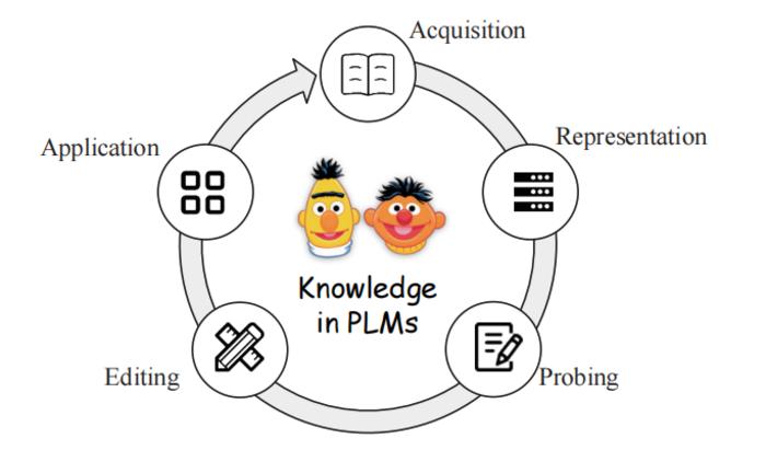 Five critical periods in life circle of knowledge in language models