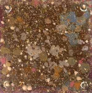 Settling plate with cryptobiota
