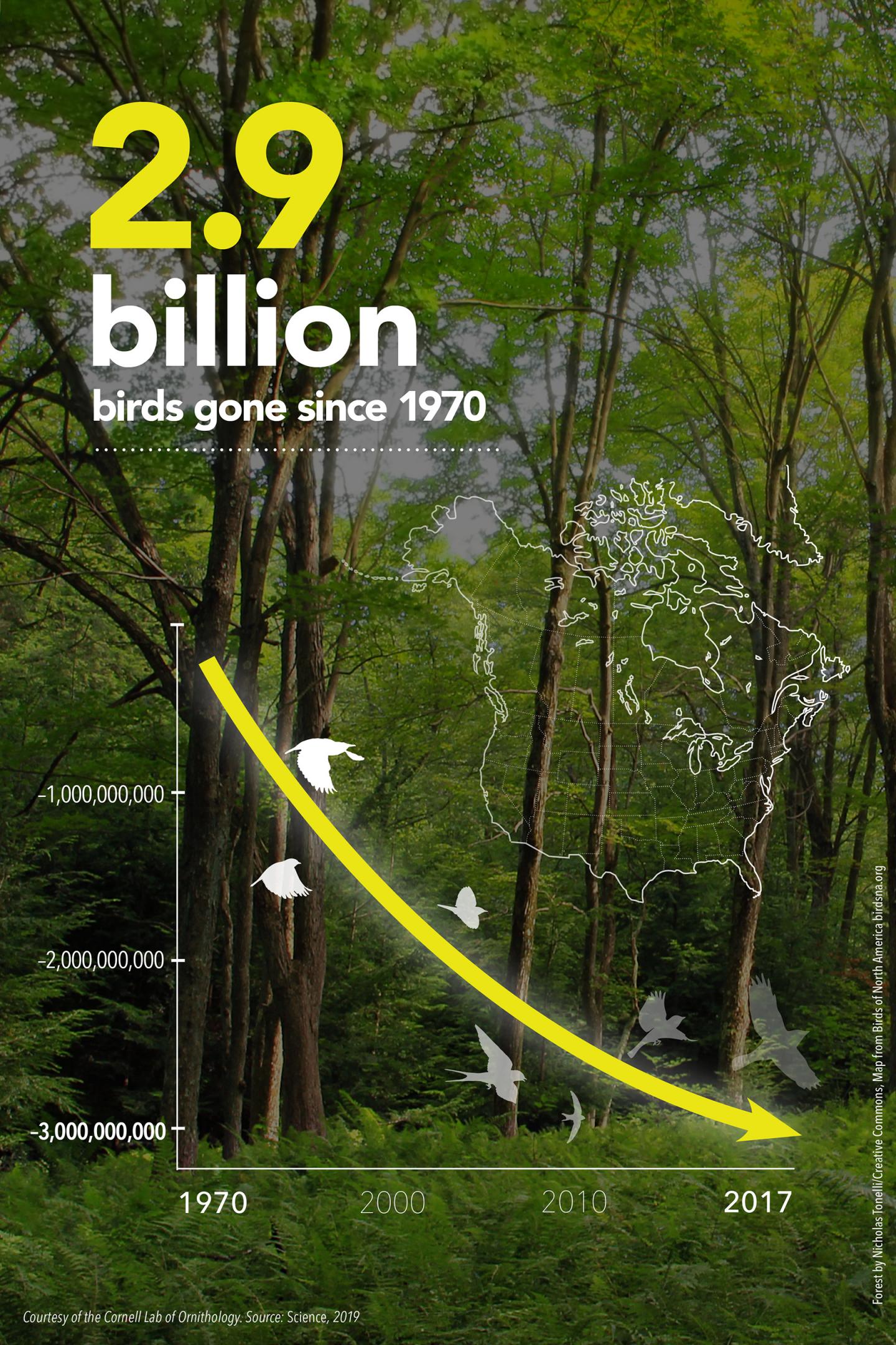 Overall Bird Declines