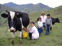 Farmer Family