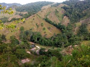 Forests and pastures near the study sites in the Colombian Andes