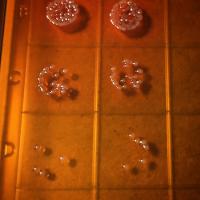 Pneumonia Bacteria