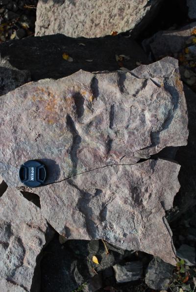 Footprint (2 of 2)