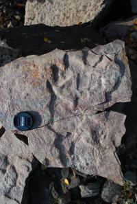 Footprint (2 of 2)
