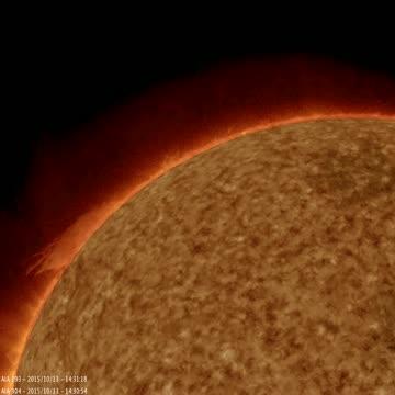 Hefty Prominence Eruption Observed by NASA's SDO