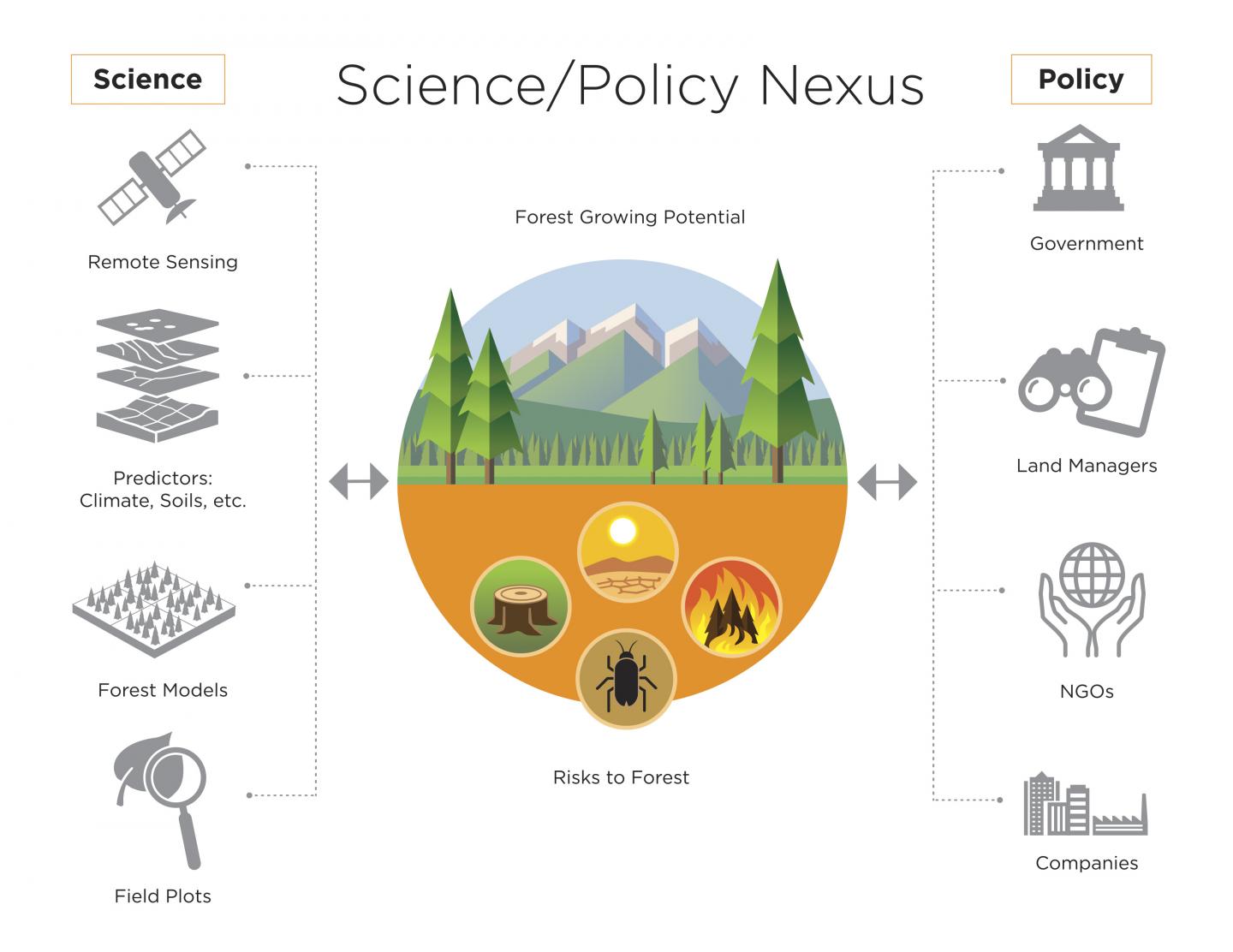 Forest Carbon Risk Nexus