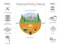 Forest Carbon Risk Nexus