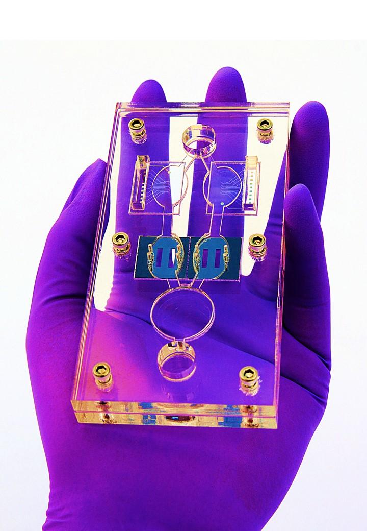 Hesperos' Multi-organ 'Human-on-a-Chip'
