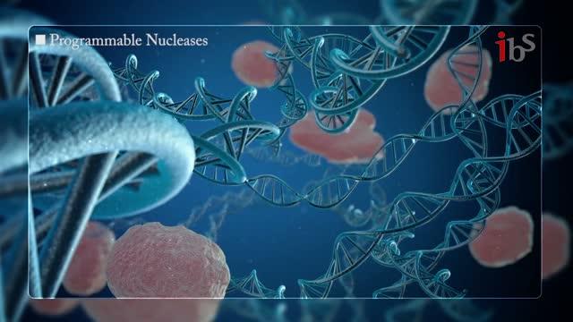 Simplified Representation of CRISPR-Cas9 in Action