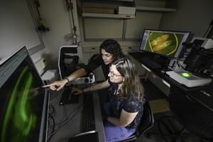 Microscopic insights