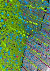 Computer Simulation: Segregation of Copper Atom Impurities into Internal Defects and Grain Boundary 