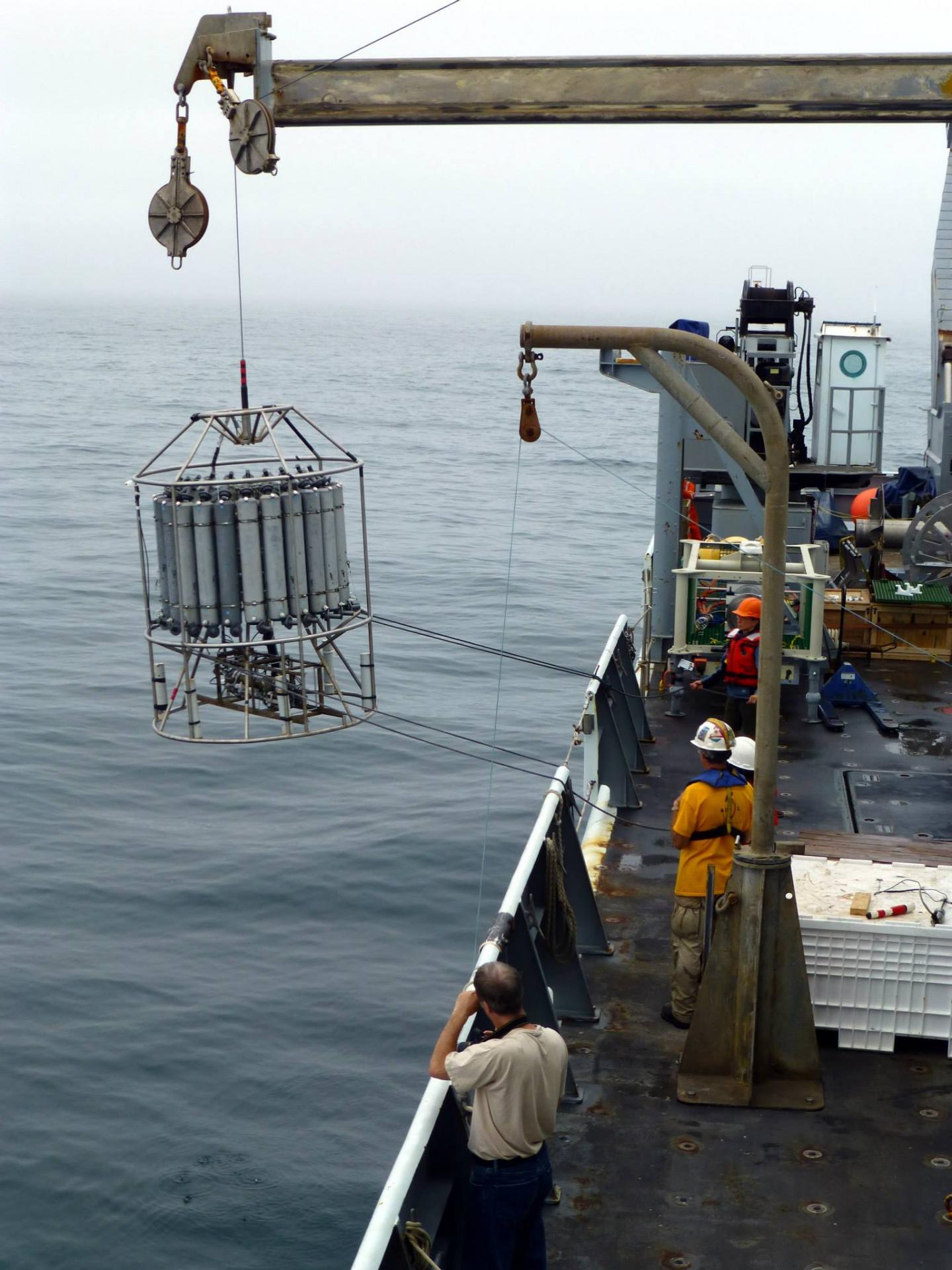 Collecting Samples