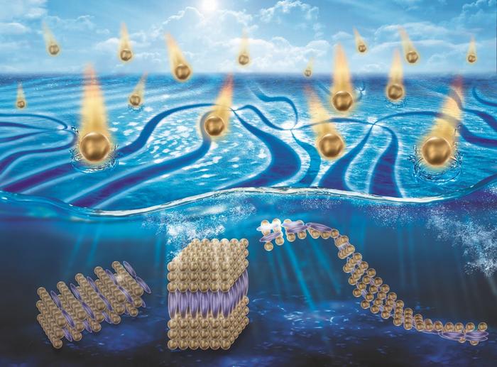 The Marriage of Liquid Crystals with Nanoscience