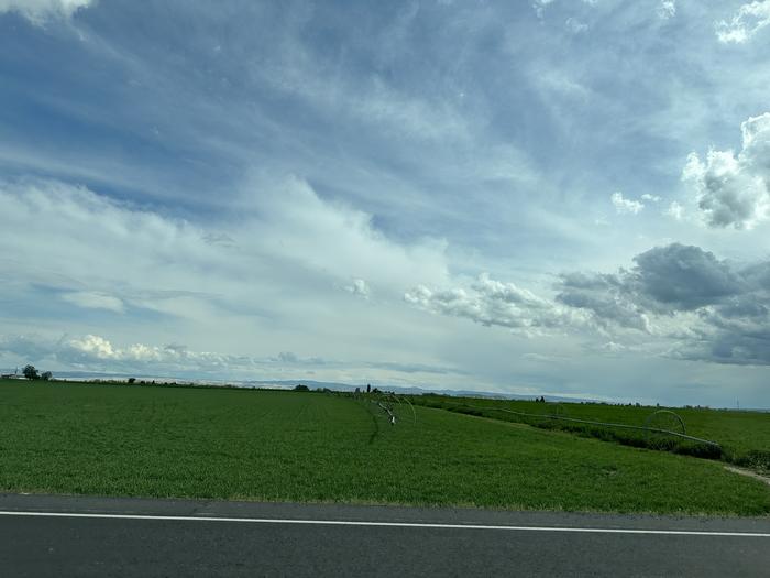 A field with irrigation equipment