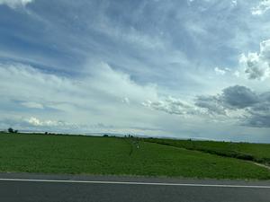 A field with irrigation equipment
