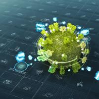 Computer Designed Mini-Protein Binders Target Flu
