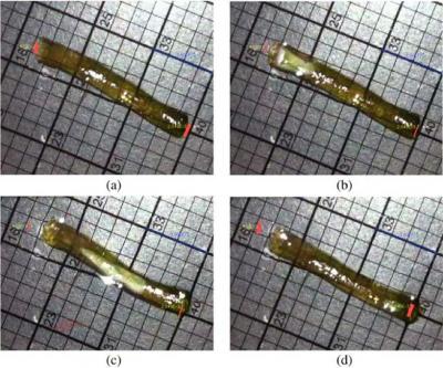 UC Gregory Hydrogel