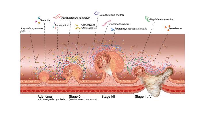 Microbial Dynamics