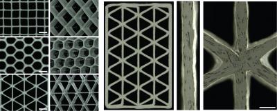 Variety of 3-D Printed Honeycomb Structures