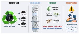 Toxicity and polycyclic aromatic hydrocarbons bioavailability in recycled tire rubber granulate of varying particle sizes