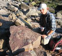 Tetrapod Trackways in Nova Scotia