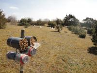 View on Grassland