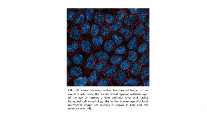 LEPI Cells
