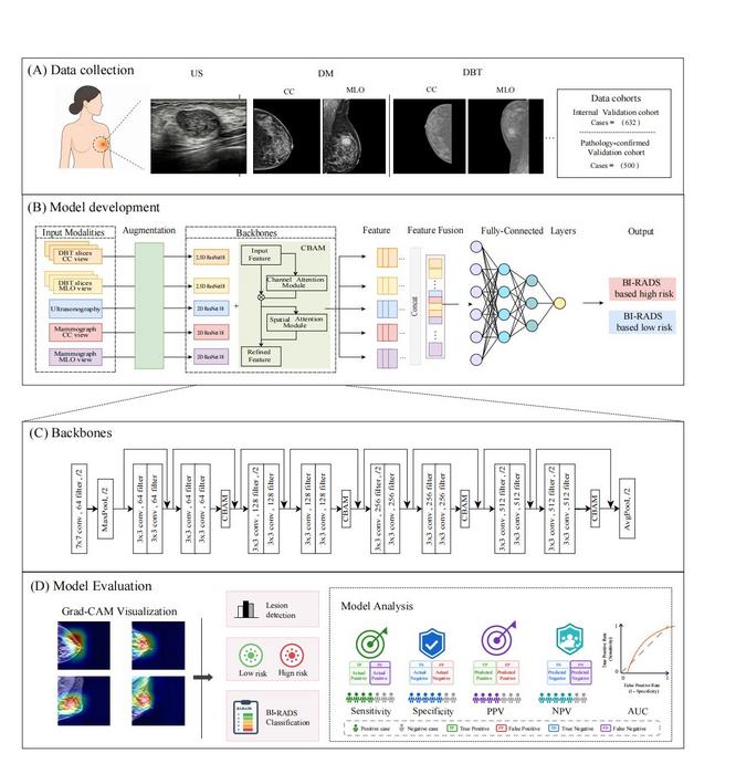 Study cohort construction and multimodal model validation workflow.
