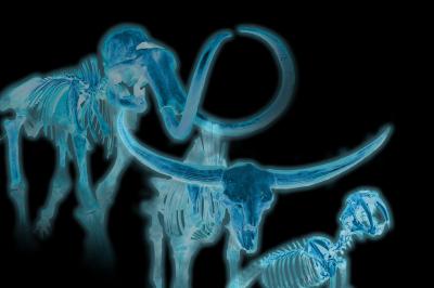 Ghosts of the Ice Age