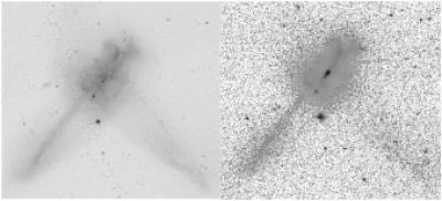 IR-Bright Merging Galaxy