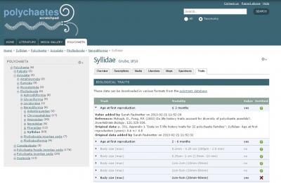Scratchpads Interface