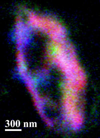 What Kind of Cosmic Dust Did the Stardust Spacecraft Bring Back to Earth? (4 of 11)