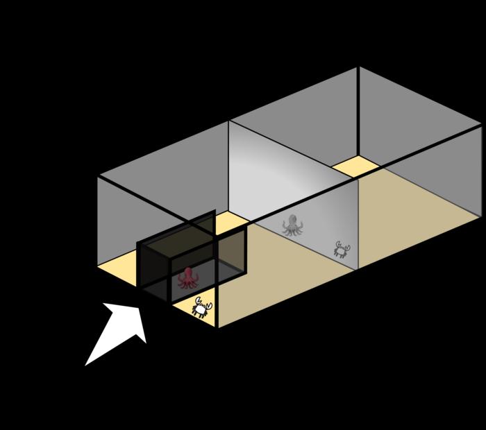 Experiment setup