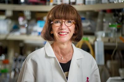 Martine Roussel, Ph.D.
