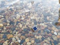 Sensor Cube Helps Keep Fish Farming Afloat (3 of 3)